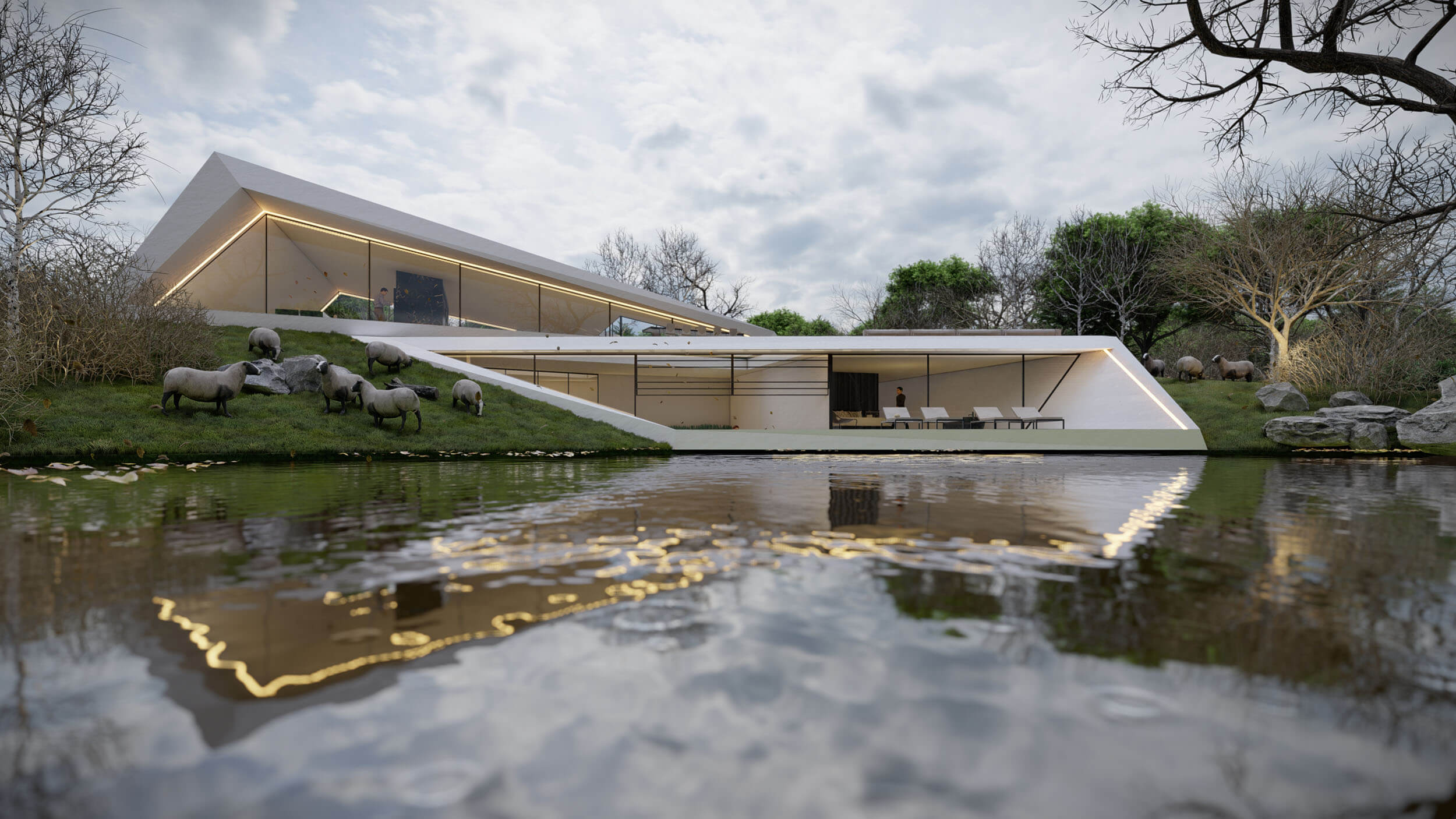 Architect shifted villa